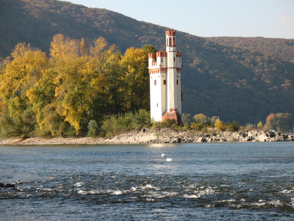Helle Fewo, 60 Qm, Souterrain, Eigener Eingang, Rhein Und Nahe Bingen am Rhein Exteriér fotografie